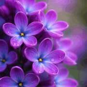 ヒメ日記 2026/01/28 11:39 投稿 しずく 岐阜美濃加茂・可児ちゃんこ