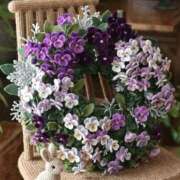 ヒメ日記 2026/01/28 13:29 投稿 しずく 岐阜美濃加茂・可児ちゃんこ