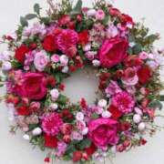 ヒメ日記 2026/02/03 11:09 投稿 しずく 岐阜美濃加茂・可児ちゃんこ