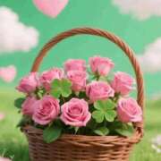 ヒメ日記 2026/02/03 13:29 投稿 しずく 岐阜美濃加茂・可児ちゃんこ