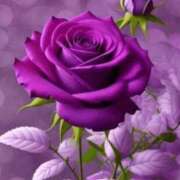 ヒメ日記 2026/02/06 17:49 投稿 しずく 岐阜美濃加茂・可児ちゃんこ