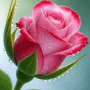 ヒメ日記 2026/02/07 11:09 投稿 しずく 岐阜美濃加茂・可児ちゃんこ