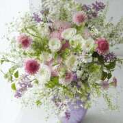 ヒメ日記 2026/02/19 12:49 投稿 しずく 岐阜美濃加茂・可児ちゃんこ