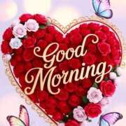 ヒメ日記 2026/02/20 11:09 投稿 しずく 岐阜美濃加茂・可児ちゃんこ