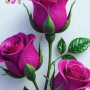 ヒメ日記 2026/02/22 11:09 投稿 しずく 岐阜美濃加茂・可児ちゃんこ