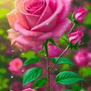 ヒメ日記 2026/02/23 13:29 投稿 しずく 岐阜美濃加茂・可児ちゃんこ