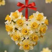 ヒメ日記 2026/02/24 10:19 投稿 しずく 岐阜美濃加茂・可児ちゃんこ