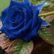 ヒメ日記 2026/02/24 12:09 投稿 しずく 岐阜美濃加茂・可児ちゃんこ