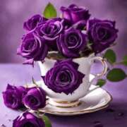 ヒメ日記 2026/02/25 12:09 投稿 しずく 岐阜美濃加茂・可児ちゃんこ