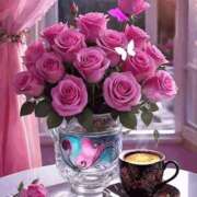 ヒメ日記 2026/02/27 14:09 投稿 しずく 岐阜美濃加茂・可児ちゃんこ