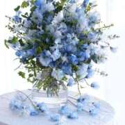 ヒメ日記 2026/02/28 11:09 投稿 しずく 岐阜美濃加茂・可児ちゃんこ