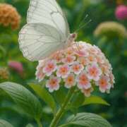 ヒメ日記 2026/03/01 15:09 投稿 しずく 岐阜美濃加茂・可児ちゃんこ