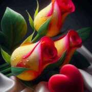 ヒメ日記 2026/03/02 10:59 投稿 しずく 岐阜美濃加茂・可児ちゃんこ