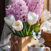 ヒメ日記 2026/03/07 11:29 投稿 しずく 岐阜美濃加茂・可児ちゃんこ