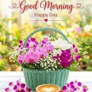 ヒメ日記 2026/03/08 10:49 投稿 しずく 岐阜美濃加茂・可児ちゃんこ