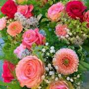 ヒメ日記 2026/03/11 12:09 投稿 しずく 岐阜美濃加茂・可児ちゃんこ