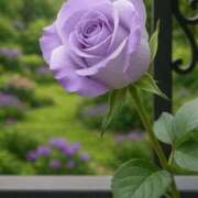 ヒメ日記 2026/03/15 11:39 投稿 しずく 岐阜美濃加茂・可児ちゃんこ