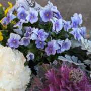 ヒメ日記 2026/03/17 08:29 投稿 しずく 岐阜美濃加茂・可児ちゃんこ