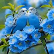 ヒメ日記 2026/03/18 10:59 投稿 しずく 岐阜美濃加茂・可児ちゃんこ