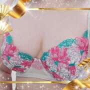 ヒメ日記 2026/03/21 10:42 投稿 しずく 岐阜美濃加茂・可児ちゃんこ