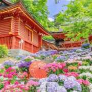 ヒメ日記 2026/06/14 08:49 投稿 しずく 岐阜美濃加茂・可児ちゃんこ