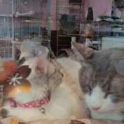 ヒメ日記 2026/02/03 08:49 投稿 まりの 岐阜美濃加茂・可児ちゃんこ