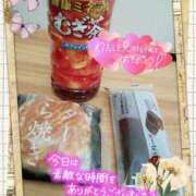 ヒメ日記 2026/03/14 12:09 投稿 まりの 岐阜美濃加茂・可児ちゃんこ