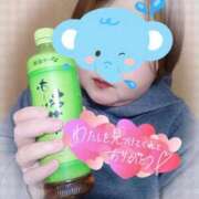 ヒメ日記 2026/04/22 16:09 投稿 まりの 岐阜美濃加茂・可児ちゃんこ
