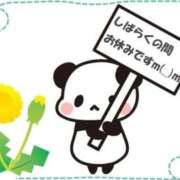 ヒメ日記 2026/04/25 08:49 投稿 まりの 岐阜美濃加茂・可児ちゃんこ