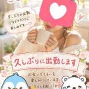 ヒメ日記 2026/08/19 09:29 投稿 まりの 岐阜美濃加茂・可児ちゃんこ