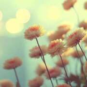 ヒメ日記 2026/01/27 20:49 投稿 ゆか 岐阜美濃加茂・可児ちゃんこ