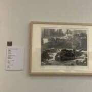 ヒメ日記 2025/10/30 15:18 投稿 ななせ ルーフ福井