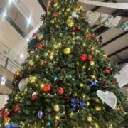 ヒメ日記 2025/11/07 13:00 投稿 ゆり 【非表示中】美女・ビジョン