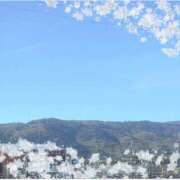 ヒメ日記 2025/11/16 13:05 投稿 ゆり 【非表示中】美女・ビジョン