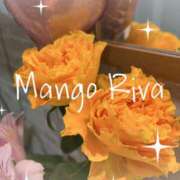 ヒメ日記 2025/11/05 08:00 投稿 うらん 【非表示中】美女・ビジョン