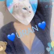 ヒメ日記 2025/11/06 14:44 投稿 うらん 【非表示中】美女・ビジョン