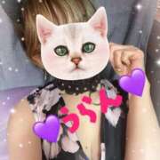 ヒメ日記 2025/11/06 22:40 投稿 うらん 【非表示中】美女・ビジョン