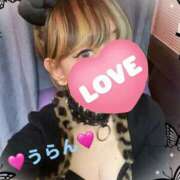 ヒメ日記 2025/11/13 01:36 投稿 うらん 【非表示中】美女・ビジョン