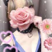 ヒメ日記 2025/11/20 09:00 投稿 うらん 【非表示中】美女・ビジョン