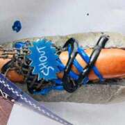 ヒメ日記 2025/10/02 14:08 投稿 つぐみさん いけない奥さん 十三店