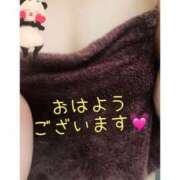 ヒメ日記 2025/11/09 09:30 投稿 つぐみさん いけない奥さん 十三店