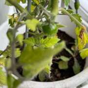 ヒメ日記 2025/10/20 09:34 投稿 よね 熟女の風俗最終章 仙台店