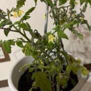 ヒメ日記 2025/10/20 20:02 投稿 よね 熟女の風俗最終章 仙台店