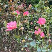 ヒメ日記 2025/10/22 22:34 投稿 よね 熟女の風俗最終章 仙台店