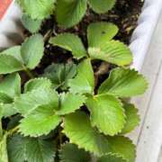 ヒメ日記 2025/10/23 05:34 投稿 よね 熟女の風俗最終章 仙台店