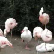 ヒメ日記 2025/11/05 18:06 投稿 よね 熟女の風俗最終章 仙台店