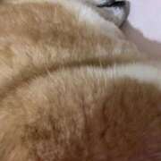 ヒメ日記 2025/11/06 05:44 投稿 よね 熟女の風俗最終章 仙台店