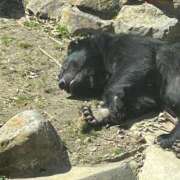 ヒメ日記 2025/11/07 18:24 投稿 よね 熟女の風俗最終章 仙台店