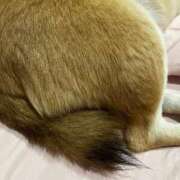 ヒメ日記 2025/11/08 05:44 投稿 よね 熟女の風俗最終章 仙台店