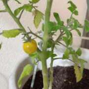 ヒメ日記 2025/11/08 10:21 投稿 よね 熟女の風俗最終章 仙台店